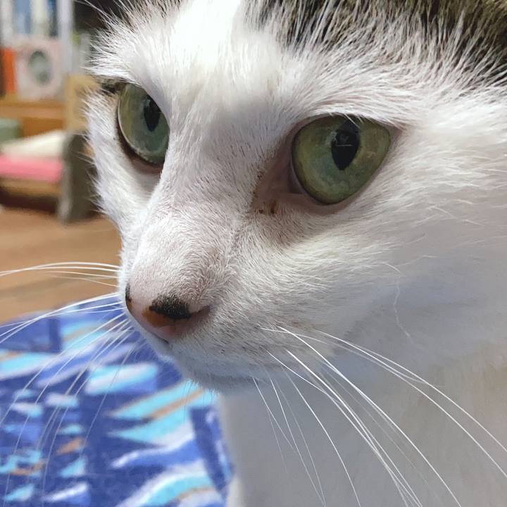 1fd29559 07b2 43a0 9da9 9b228ad64a61 1589446965677