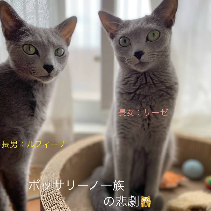 1fd2c6c7 fffe 454b bfbf 094799433edb 1660476518156