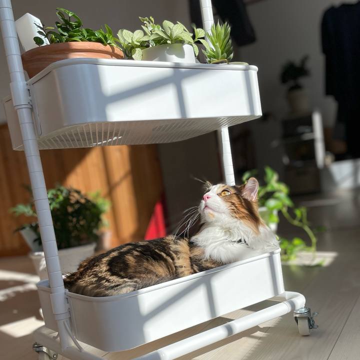 1fd2fa7f 26fb 4f52 bb00 8dcaae299d5f 1642905485801