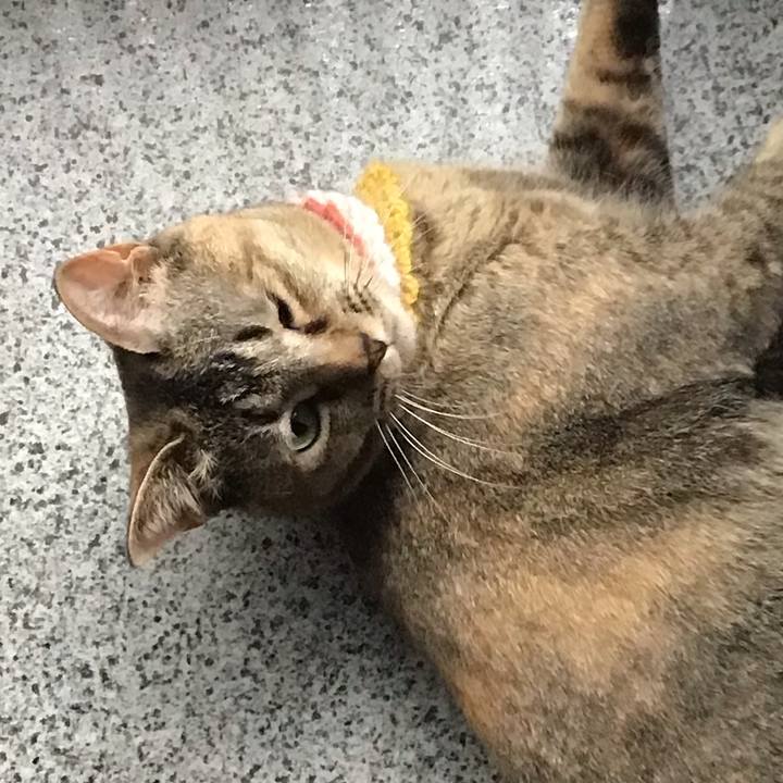 1fd2fb9b c347 4a35 8fb7 d88e17be73e2 1623562028587