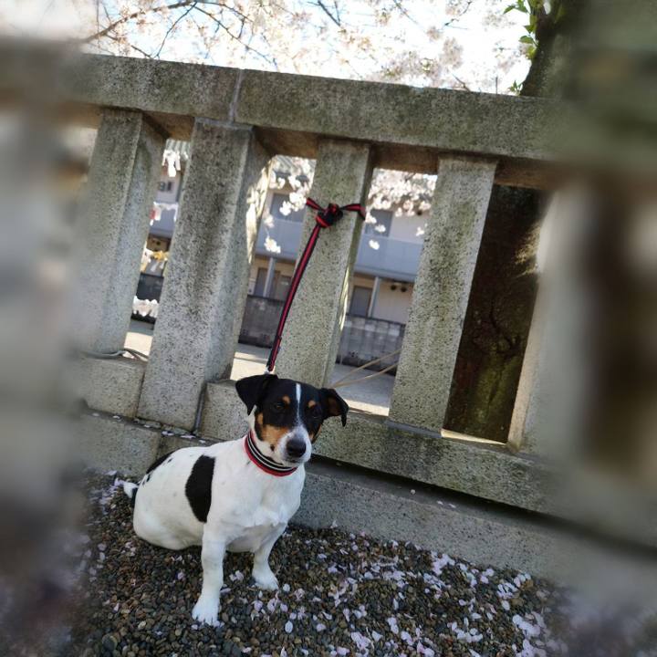 1fd31ef4 4325 4569 af08 1b41b5c3cc2f 1680170403389