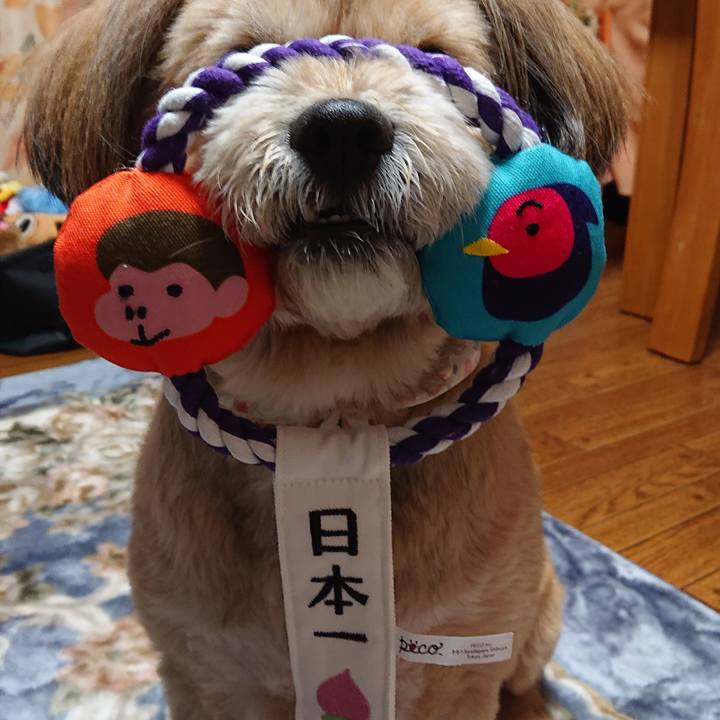 1fd33197 17dc 4f9f 9692 6d2bcf4557a6 1587998946917