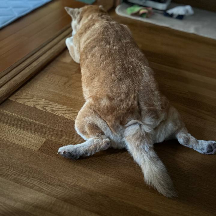 1fd338f2 2629 42b2 ad9c b3617eedf464 1750920801329