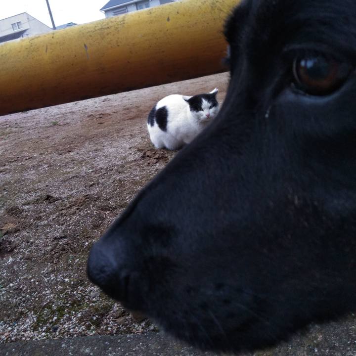 1fd35435 c28d 48d5 abcd d9ca36527b38 1583311626662