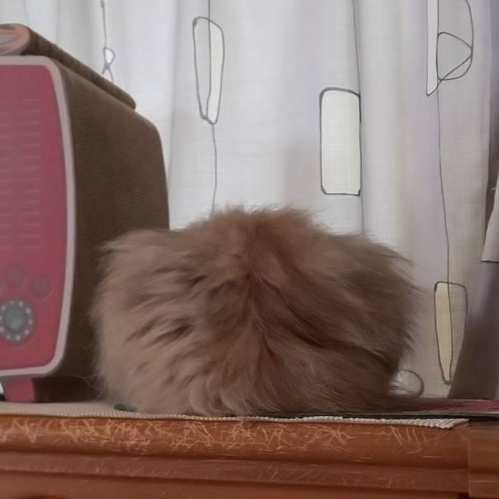 1fd369eb a2d9 4ec8 8bee a921e2ef9689 1633567760047