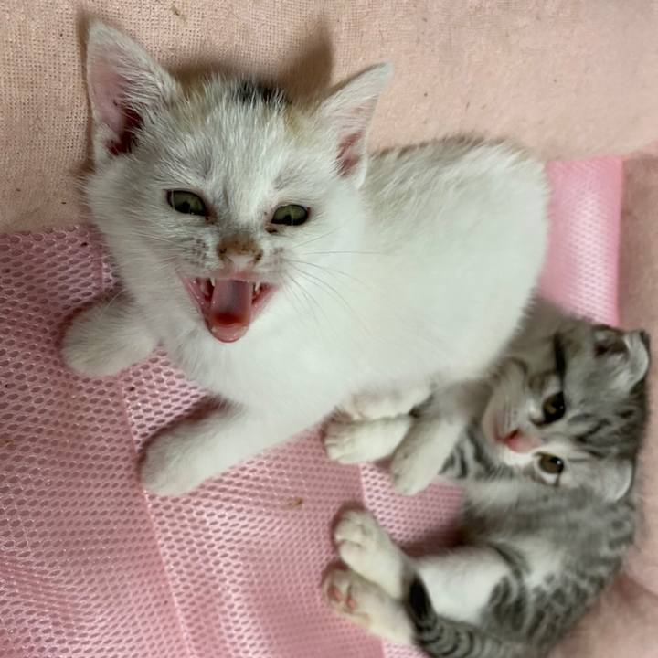 1fd36fcd e2b5 4e5d 8f86 10d01e54027f 1592310554248