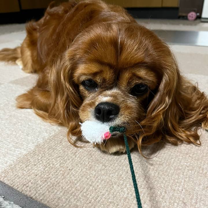 1fd3796f 9834 4ac1 bc4a 32abea742e57 1652612805893