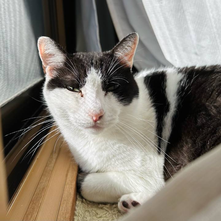 1fd37a49 20f8 465e b1e4 91577730a701 1703126357013