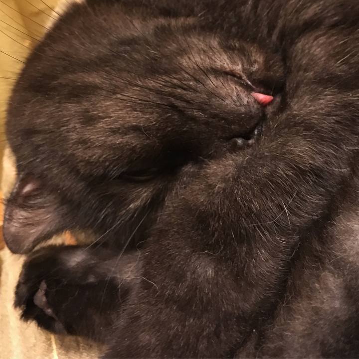 1fd37c81 70a1 4238 bc23 661f71a9b1c9 1539735503597