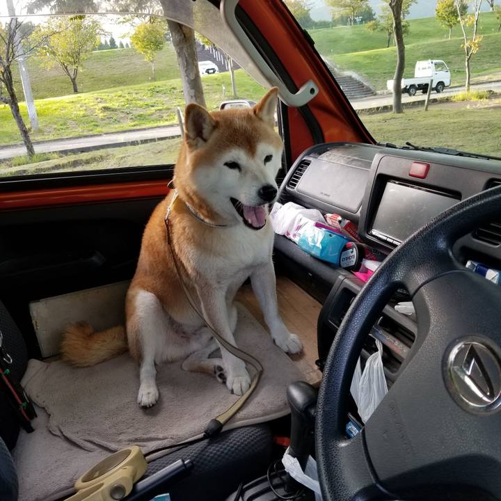 1fd38965 b0bd 48b6 92b8 03a8602cb2b5 1664090817245