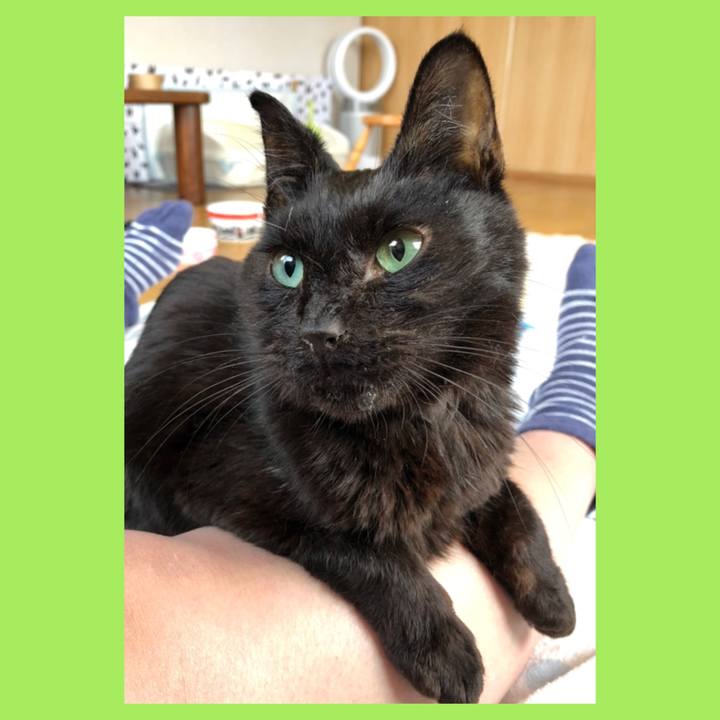 1fd39b79 26e9 499c 963f bc4799a15bd3 1557903860998