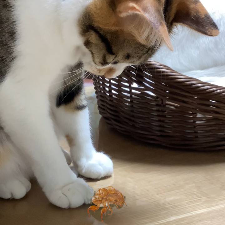 1fd3b416 a615 40f9 986e e8dc326be978 1692491378165