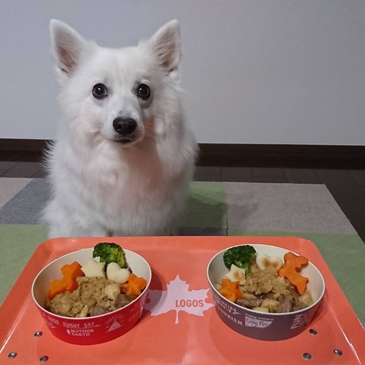 1fd3bf77 b366 4235 a22d 5758621bc6e3 1608804727909