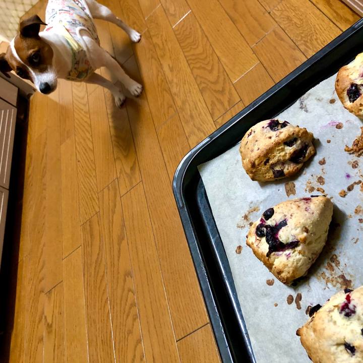 1fd3c402 d1c5 445b acf2 9251fcc31aa3 1596239158873