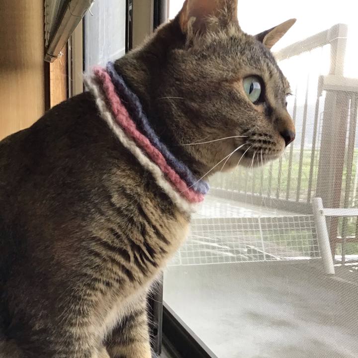 1fd3c4ea 87d3 450e b539 a7d3a6fe090c 1623915656998