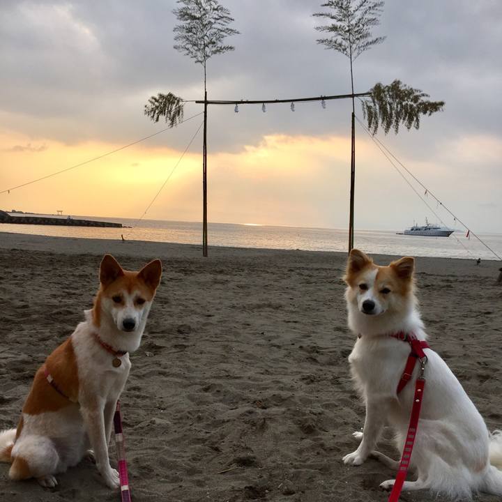 1fd3f047 d9bb 4bf9 95af 2f1da0bd892f 1511871054381