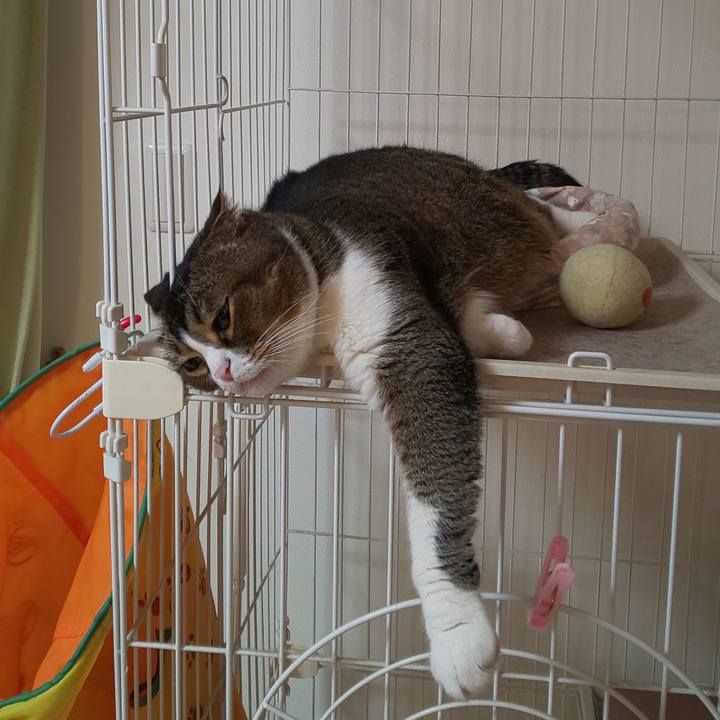 1fd3f4f1 0804 4a97 ba82 d7dfafd2754e 1621761131271