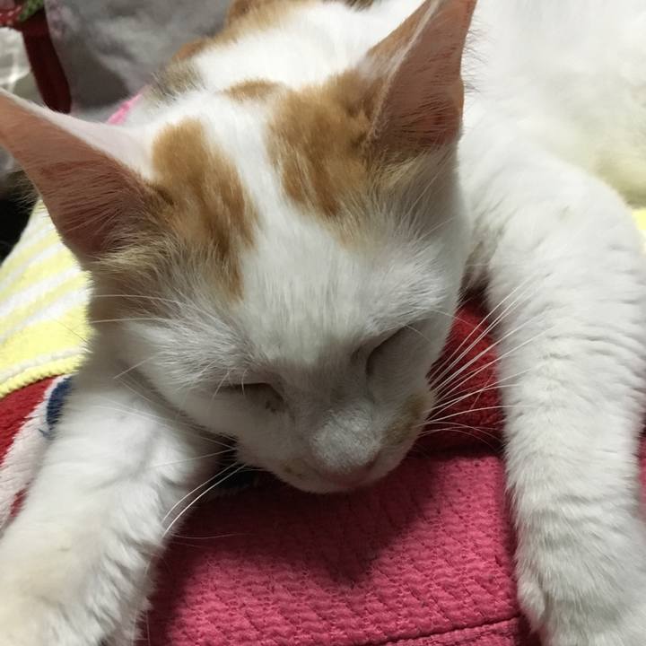 1fd44ec8 95fa 4132 be6f cdd0cfdeb077 1528036815485