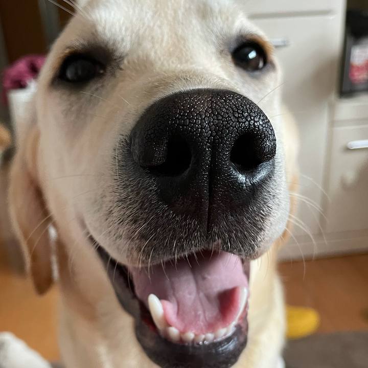 1fd4564b 8bab 47f0 b93d aae9ee9c825f 1623452312253