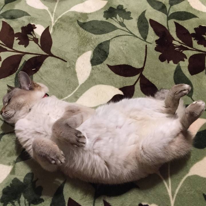 1fd45a6d 7dbb 417f a8ce 4ccc4730ed74 1581852104690