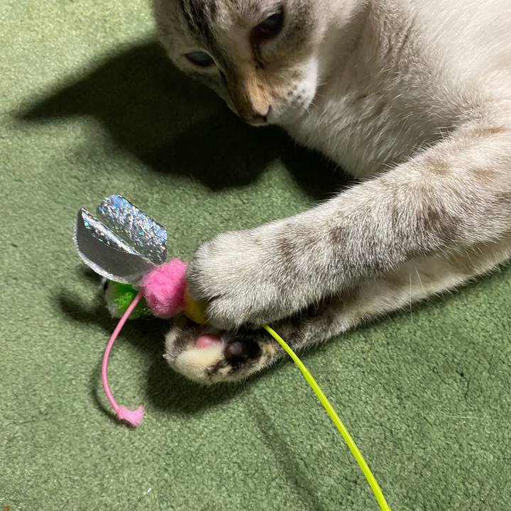 1fd473be e57a 4d29 a873 892ccca21737 1730280397658