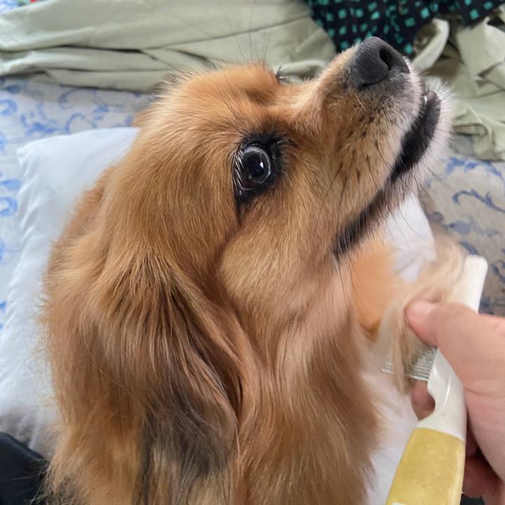 1fd47729 b2ad 4fde b32c f41aceab8ce4 1659651148215