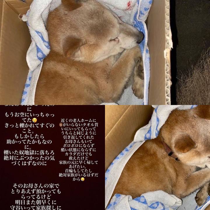 1fd4a94a 7d68 41e5 be3a 0a2b57b42090 1641708106637