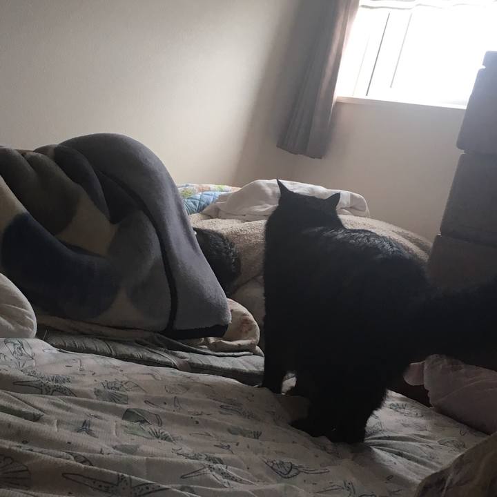 1fd4b008 ecd4 48f4 8c00 13073bd39b91 1561384400082