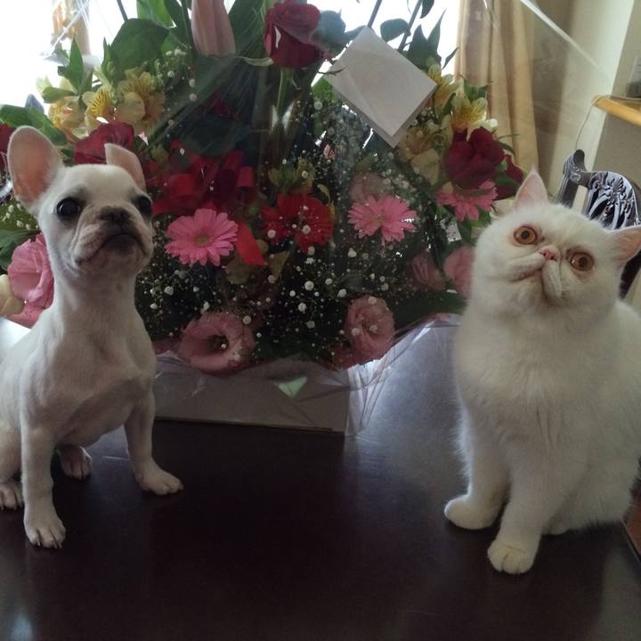 1fd4d97e 2900 45a0 8ffc 2ce7eca66ef2 1516627995301