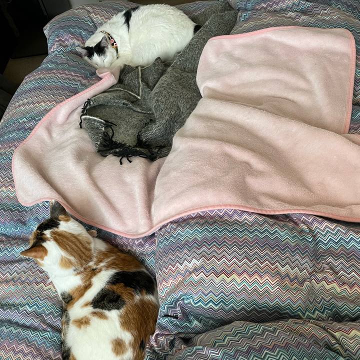 1fd53bfd 5360 42e9 8548 b47ae50eed75 1648079295002