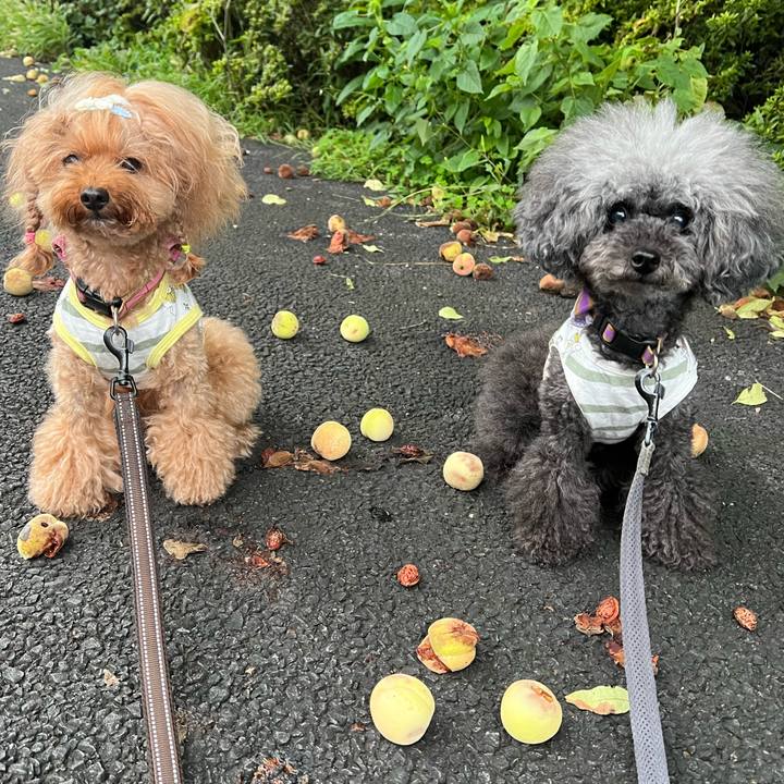 1fd54a52 b07d 4ba8 9236 38a2feda2a00 1662245232927