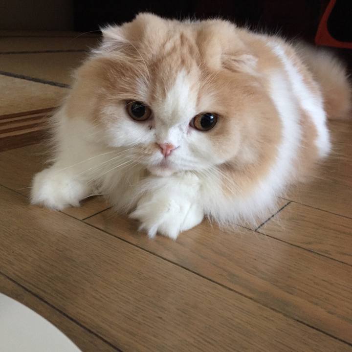 1fd56e9c c1d9 463c bf19 2314bb4ce335 1537567623339