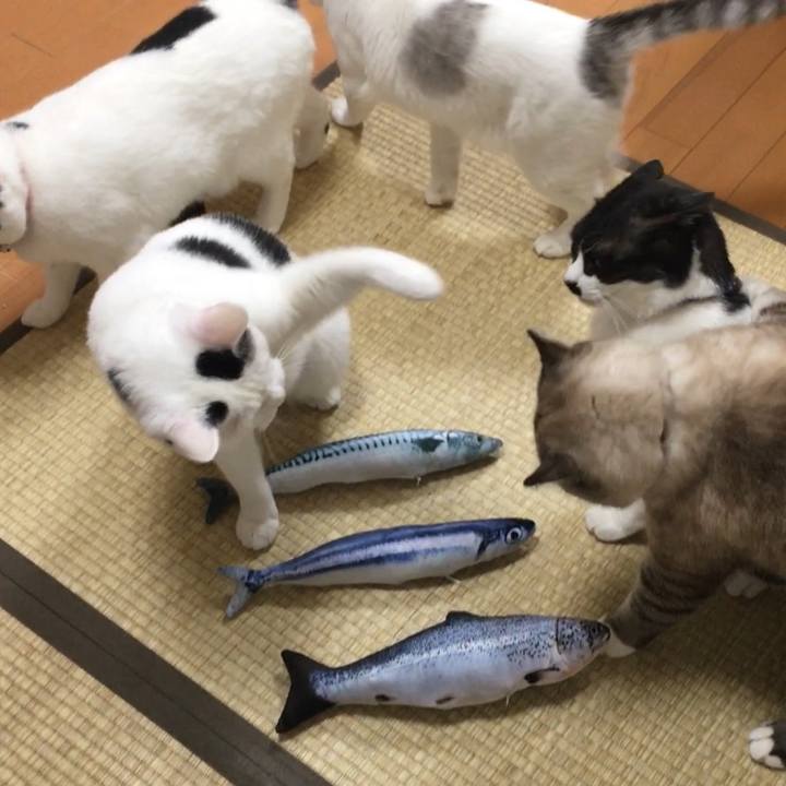 1fd59aed 14b7 4b13 8375 7916ab183119 1573041499214