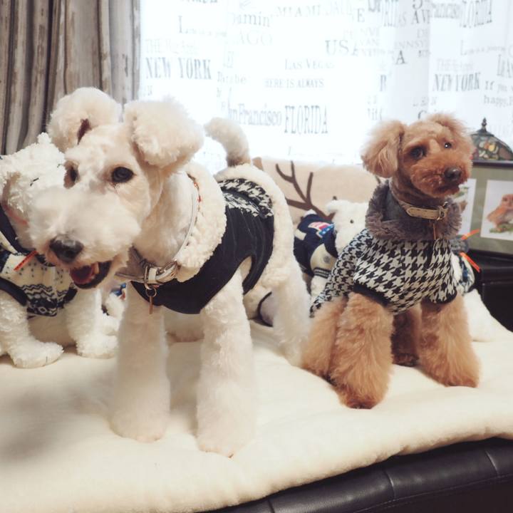 1fd5a8b1 f287 41b4 b5e8 5b5fd475d5d9 1547960832080