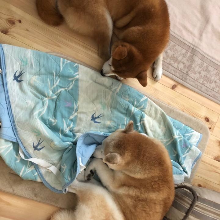 1fd5c27a 051e 4280 aae8 40741615f147 1540000379798