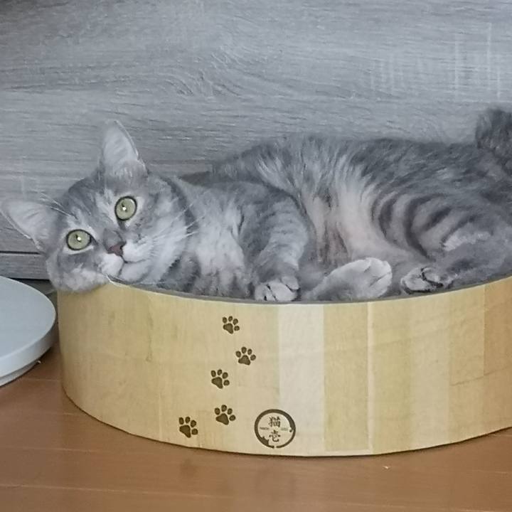 1fd5e4f3 2e80 420a bd3d dbfe1c9bfdff 1561189150026