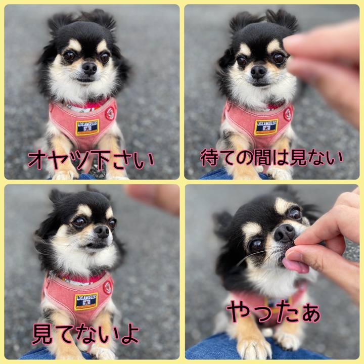 1fd6049f 60b5 41b6 97fc 4177c3783089 1652497340362