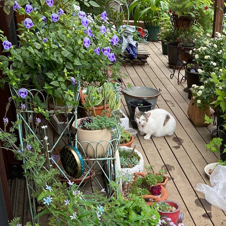 1fd62058 2941 4f4c ba54 38f99dbe746c 1594335352117