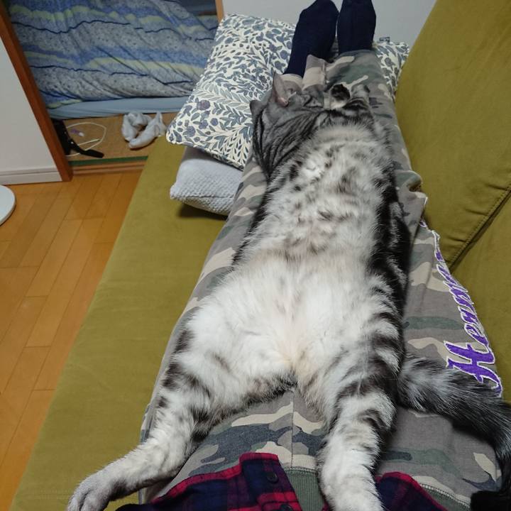 1fd62128 d8f6 4aa3 b104 30f1a8aab79b 1574908922738