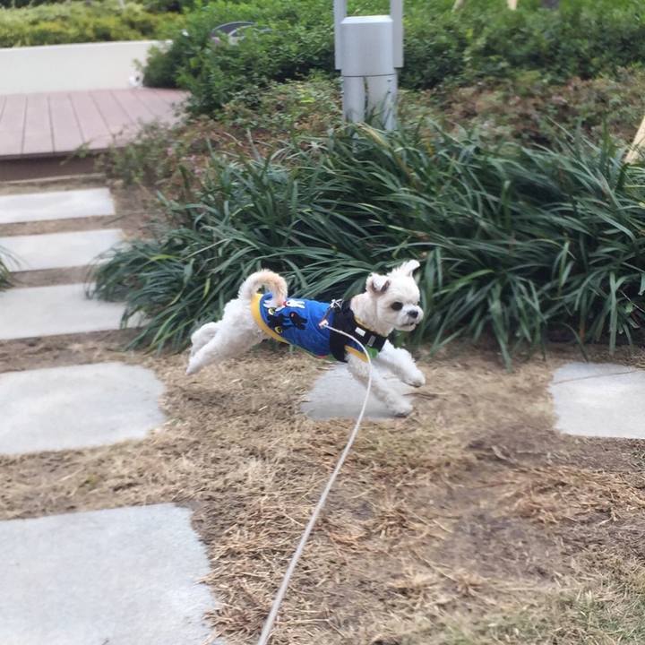 1fd638e3 701a 4f28 825d 39291fdab37f 1511780833801