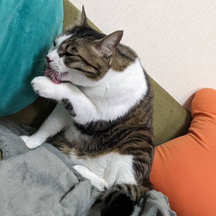 1fd65328 44a6 451a abc5 65531e8a8919 1711592260547