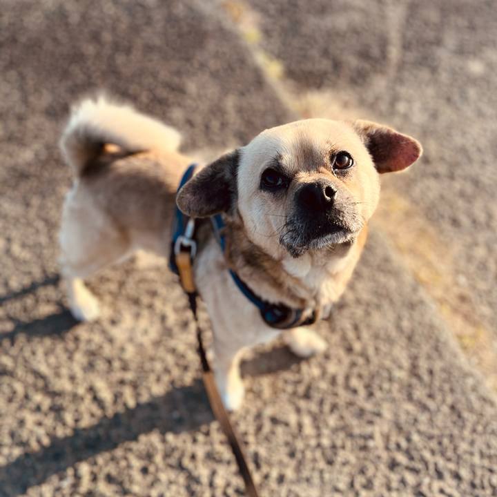 1fd65e0c 9da0 4a20 a711 f3d2fda5b17c 1773549323685