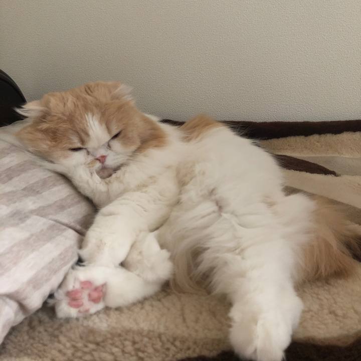 1fd66b25 b6f9 4adb 9ba1 bca3483686a3 1617313314932