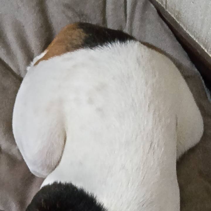 1fd6770a 64de 4091 9b72 1f8b959ec4cf 1734093447309