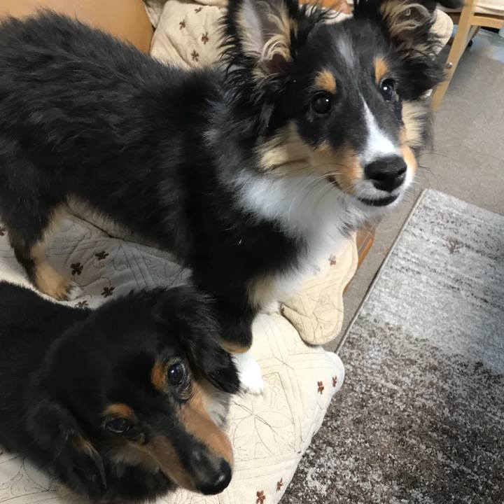 1fd6df64 ef2e 49ad acb8 deaea03075b2 1514154442083