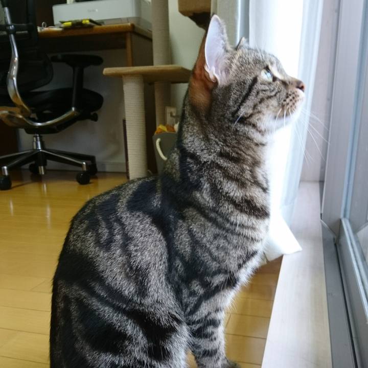 1fd7076e a2d1 4b1d 9ef3 99a8f18299bf 1516713702300