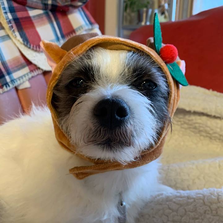 1fd72197 e2cc 4954 9ee1 2575d2eece4a 1576293114385