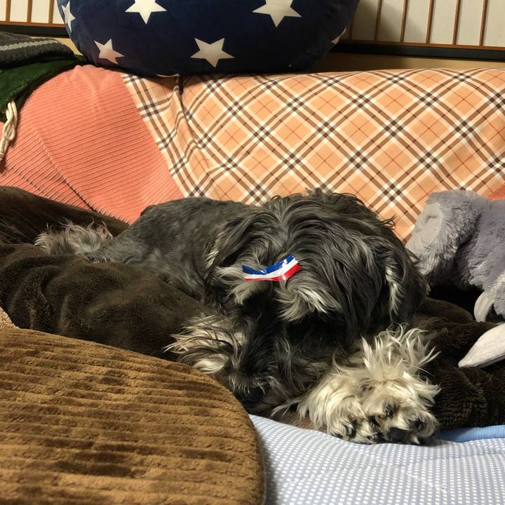 1fd76370 fe00 450a b7f4 e047fd13092a 1618928660857