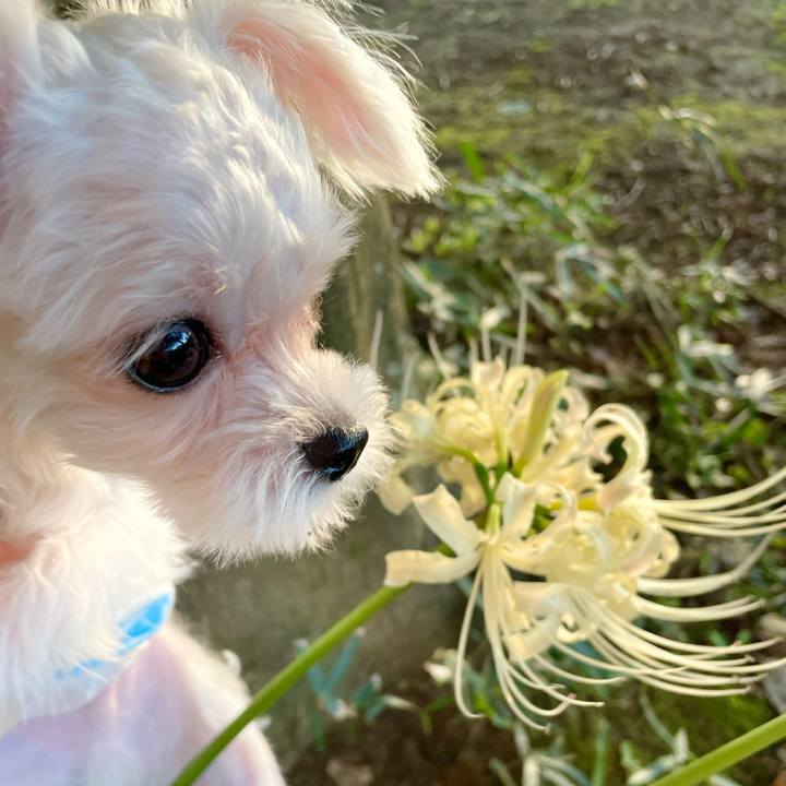 1fd7bd7a 21c2 48aa 823b acfecc33be79 1632045719359