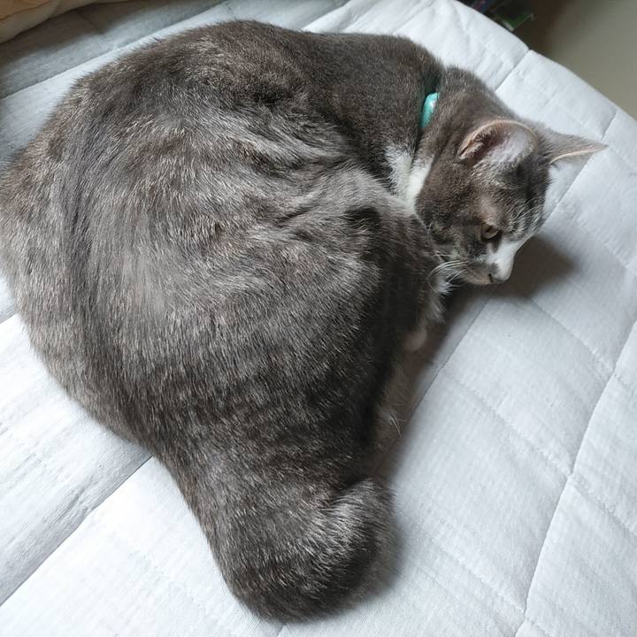 1fd7d2c9 83fb 4987 96e2 0548040f5848 1586048064155